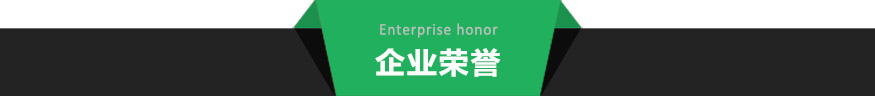 企業(yè)榮譽.jpg